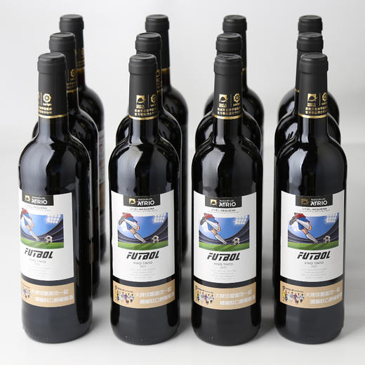 「买一箱送一箱」爱欧德比梦干红葡萄酒750ml 商品图1