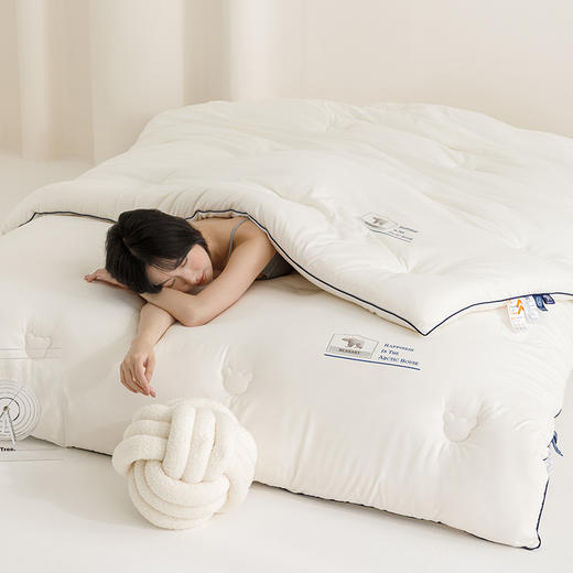 【换季出清】自然醒云绒棉软胖胖熊抱被大豆被冬被芯YBY 商品图6