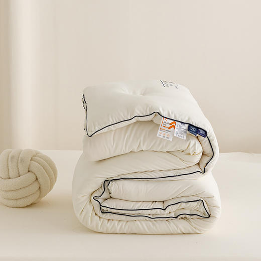 【换季出清】自然醒云绒棉软胖胖熊抱被大豆被冬被芯YBY 商品图11