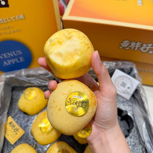 黄胖子黄金维纳斯苹果 脆甜 商品图6
