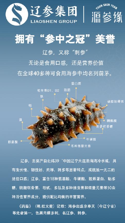 源参缘速发海参30支60g 商品图4