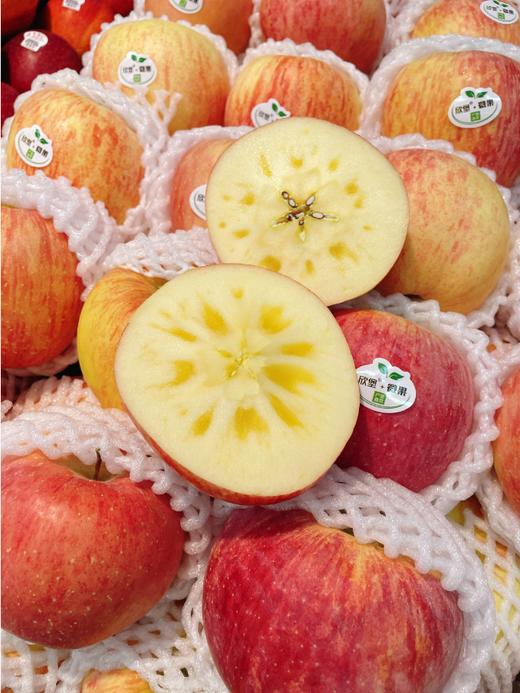 精品红皮阿克苏苹果5斤 商品图4