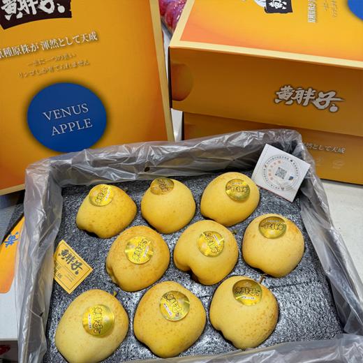 黄胖子黄金维纳斯苹果 脆甜 商品图11