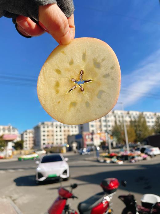 精品红皮阿克苏苹果5斤 商品图2