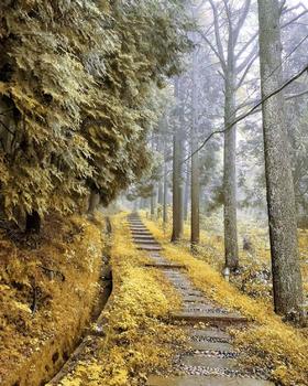 BAM【见山】2 天 1 夜四明山十字裤赏秋，夜宿星辰山野