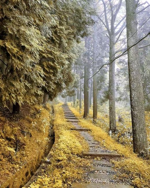 BAM【见山】2 天 1 夜四明山十字裤赏秋，夜宿星辰山野 商品图0