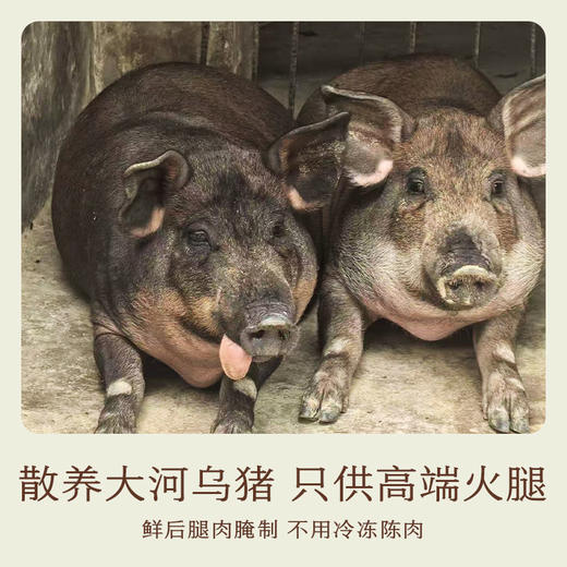 南食召 本真火腿 商品图3