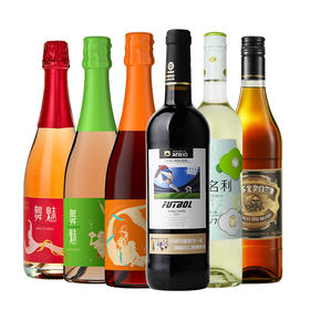 张裕红酒6支多风味套装