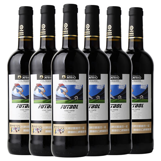 「买一箱送一箱」爱欧德比梦干红葡萄酒750ml 商品图3