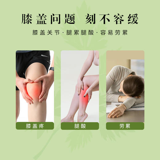 蕲仁堂蕲艾膝盖贴  12片/盒 商品图1