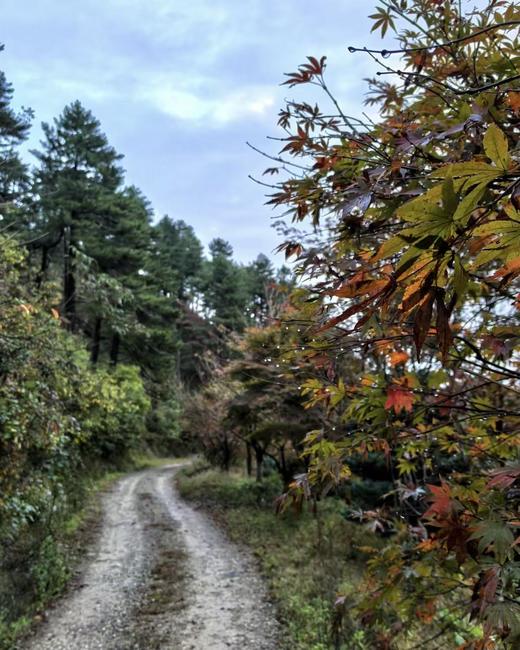 BAM【见山】2 天 1 夜四明山十字裤赏秋，夜宿星辰山野 商品图4
