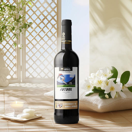 西班牙进口德比梦干红750ml+菲尼潘达半干红188ml 商品图2