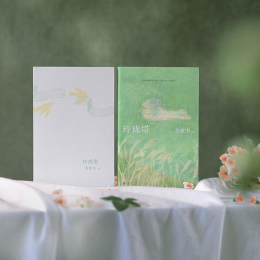 玲珑塔 苏枕书小说集 七个身陷世俗玲珑宝塔故事 深描知识女性的精神探索与生活图景 商品图2