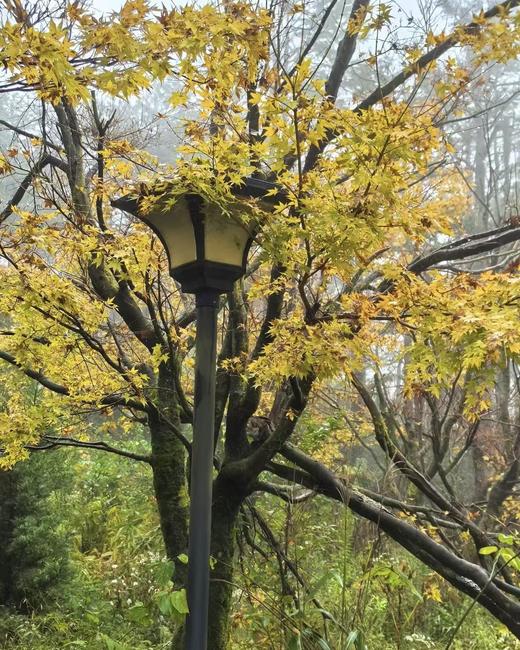 BAM【见山】2 天 1 夜四明山十字裤赏秋，夜宿星辰山野 商品图3