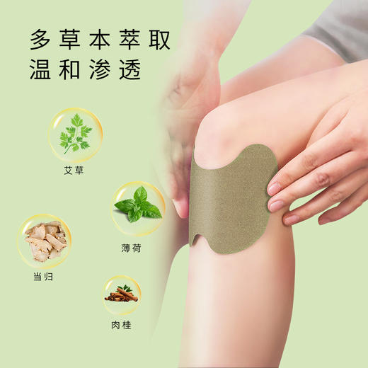 蕲仁堂蕲艾膝盖贴  12片/盒 商品图2