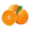 【分仓直发包邮】四川爱媛果冻橙中果5斤 商品缩略图2