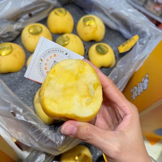 黄胖子黄金维纳斯苹果 脆甜 商品图5