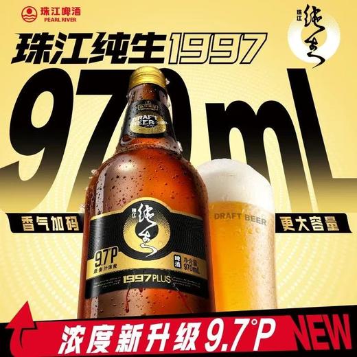 珠江纯生啤酒1997（PLUS） 酒精度：3.6° 麦芽度：9.7° 商品图1