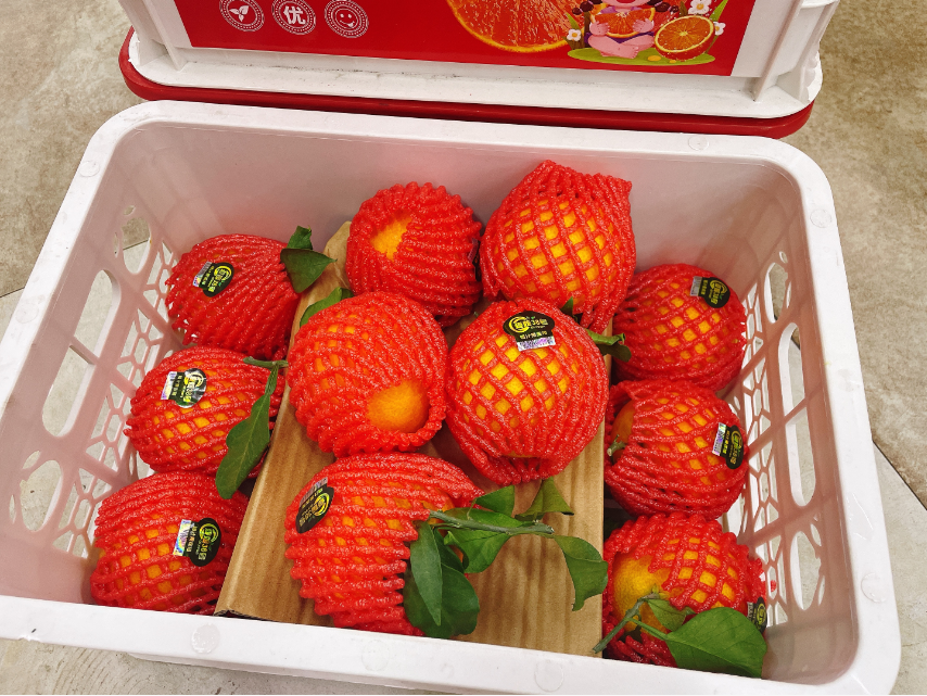 白框爱媛果冻橙一箱