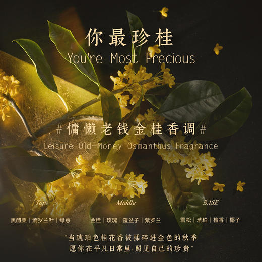 DearIrean独特艾琳 你最珍桂香氛修护身体乳250ml 保湿润肤 紧致弹嫩  48小时发货 商品图6