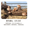 有机段木香菇 肉质紧密厚实 香味浓郁口感爽滑 （下单后4-5天发货） 商品缩略图1