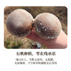 有机段木香菇 肉质紧密厚实 香味浓郁口感爽滑 （下单后4-5天发货） 商品缩略图2