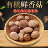 有机段木香菇 肉质紧密厚实 香味浓郁口感爽滑 （下单后4-5天发货） 商品缩略图0