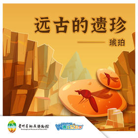贵地博|远古遗珍琥珀