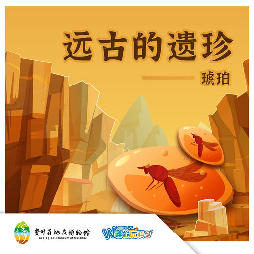 贵地博|远古遗珍琥珀 商品图0