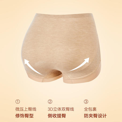 【2条装】皇家丽美女士内裤 海岛绒 + 10A 抗菌桑蚕丝里裆 保暖恒温暖腹提臀双层收腹无痕不夹臀内裤DKM1466 商品图2