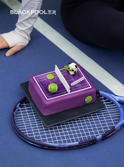 网球场 商品图2