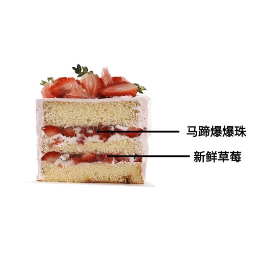 绯色莓果【动物奶油生日蛋糕】 商品图2