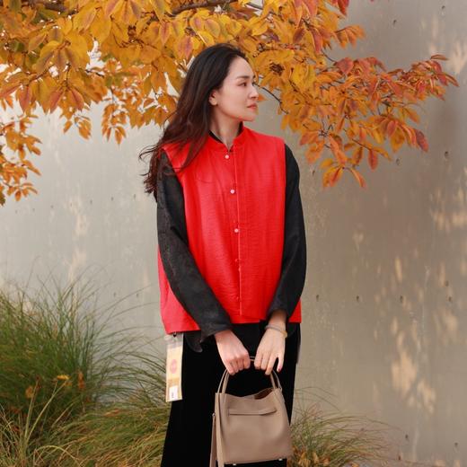 【抖音专属】新中式棉马甲（22804060丹雘-结缘款） 商品图0