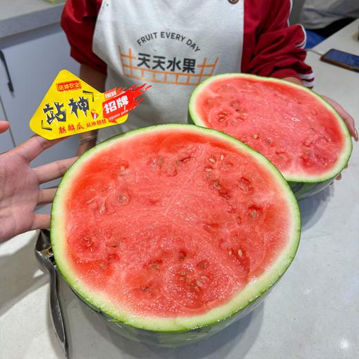 翡翠年华4K西瓜 甘肃产区 酥脆甜 商品图11