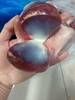 冰冻鹅胗一袋（5斤装） 商品缩略图2