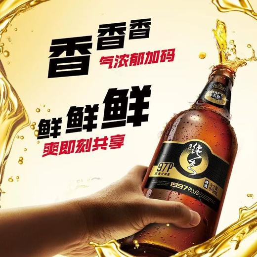 珠江纯生啤酒1997（PLUS） 酒精度：3.6° 麦芽度：9.7° 商品图2