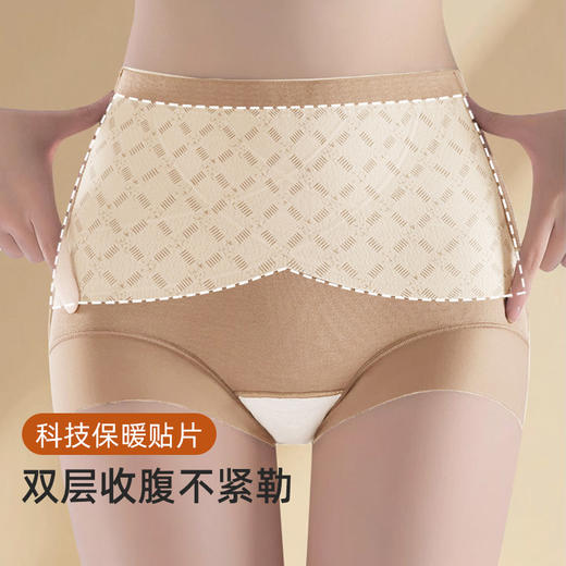 【2条装】皇家丽美女士内裤 海岛绒 + 10A 抗菌桑蚕丝里裆 保暖恒温暖腹提臀双层收腹无痕不夹臀内裤DKM1466 商品图1
