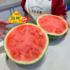 翡翠年华4K西瓜 甘肃产区 酥脆甜 商品缩略图7