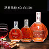 法国进口路易凯尊 XO EXTRA白兰地700ml-3L 商品缩略图0