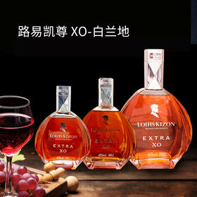 法国进口路易凯尊 XO EXTRA白兰地700ml-3L