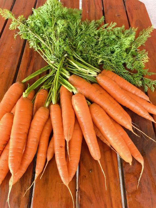 羊粪土豆/有机洋葱/有机胡萝卜/大白菜 商品图4