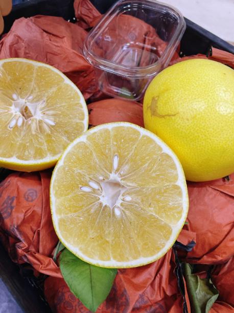 白框爱媛果冻橙一箱 商品图4