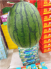 小糖丸西瓜一个 商品缩略图0