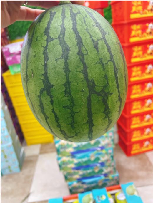 小糖丸西瓜一个 商品图0