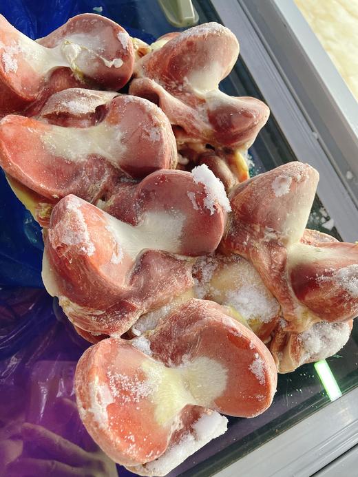 冰冻鹅胗一袋（5斤装） 商品图0