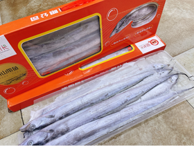 潮村长舟山刀鱼一箱