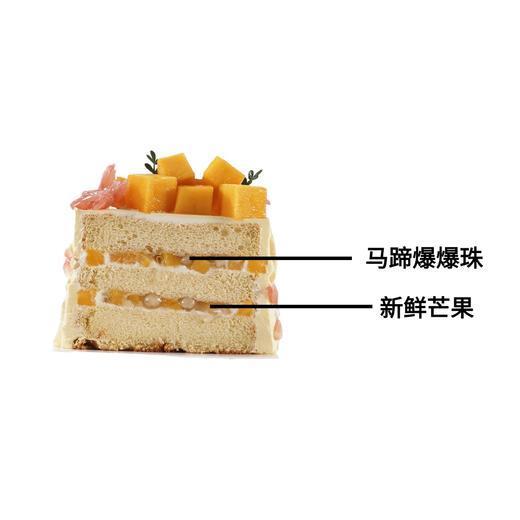 香芒柚语【动物奶油生日蛋糕】 商品图5