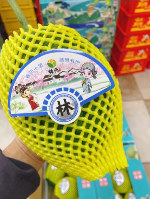 小糖丸西瓜一个 商品图1