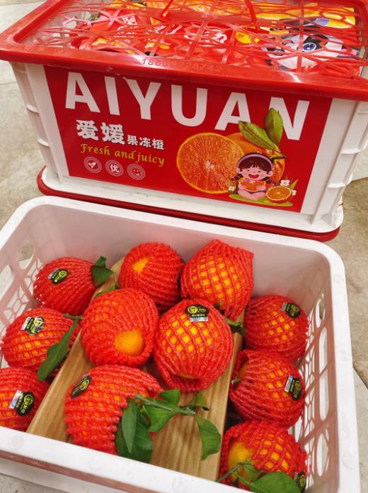 白框爱媛果冻橙一箱 商品图1