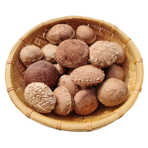 有机段木香菇 肉质紧密厚实 香味浓郁口感爽滑 （下单后4-5天发货） 商品图5